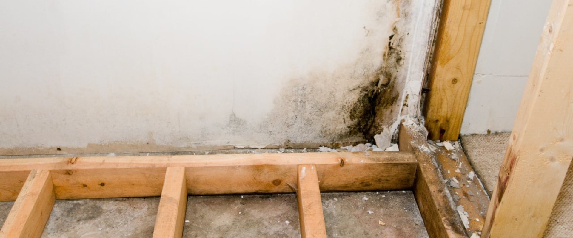 Can mold be claimed on homeowners insurance?