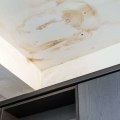 Does homeowners insurance cover mold from roof leak?